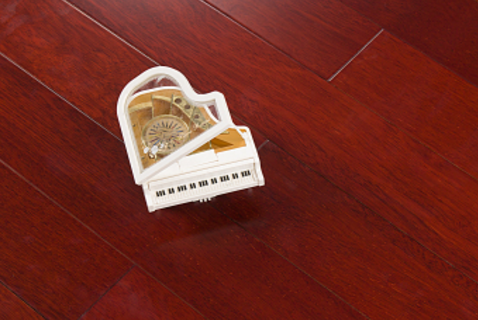 印加木3.png 印加木3.png