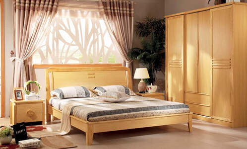 樺木1 (2).png 樺木1 (2).png